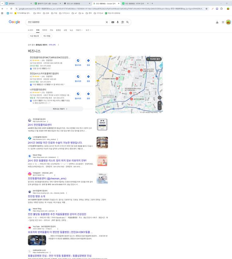천안동물의료센터 — Google «천안 동물병원» 결과 캡처
