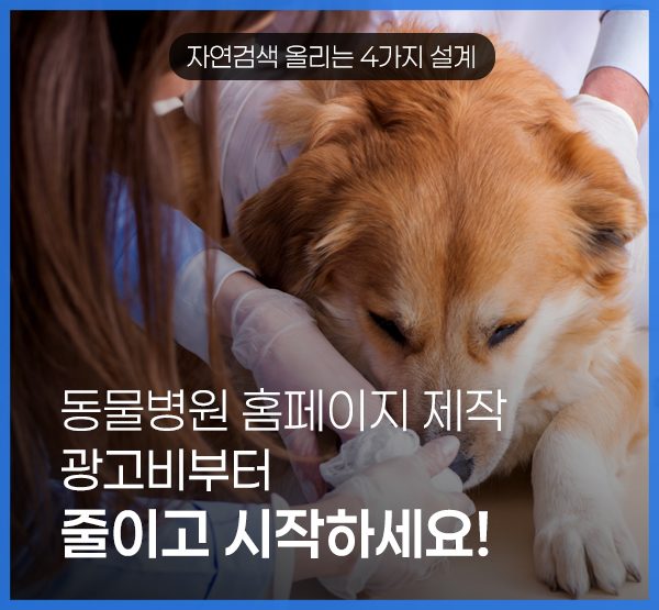 밤에 휴대폰으로 동물병원을 검색하는 보호자 일러스트