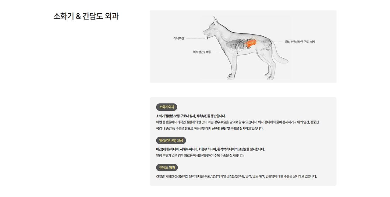 천안동물의료센터 홈페이지 화면