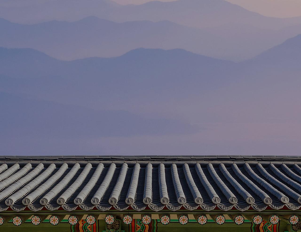 두리가 홈페이지 화면