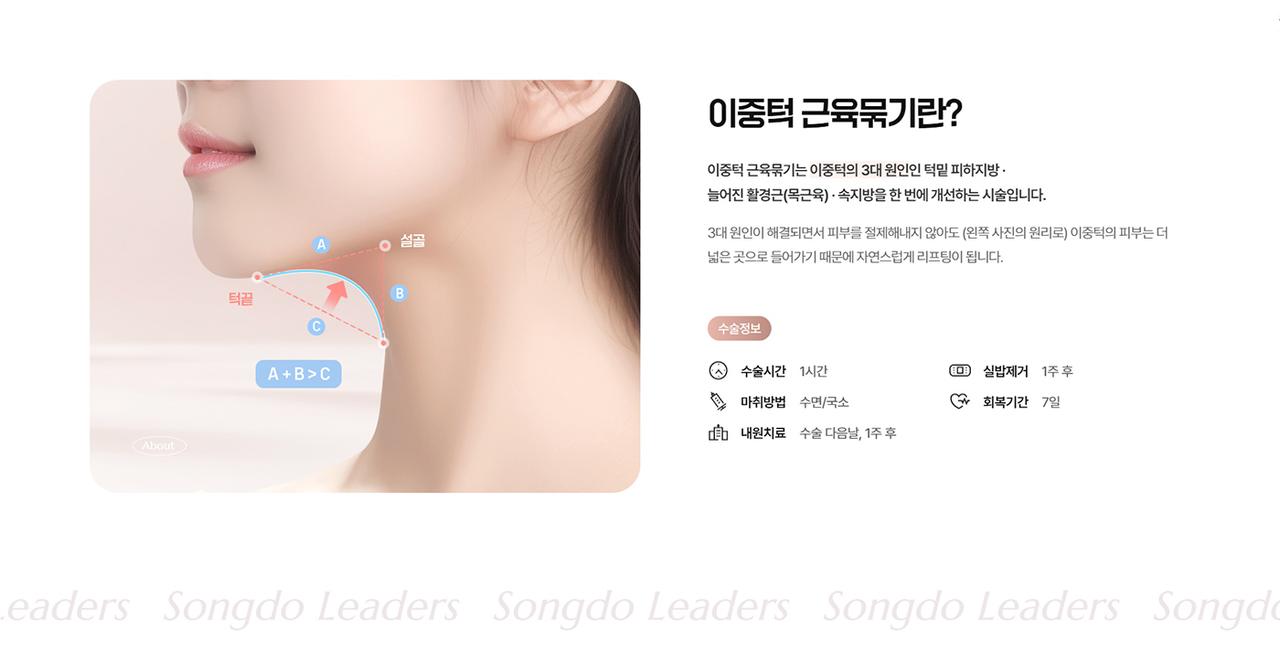 송도리더스성형외과 홈페이지 화면