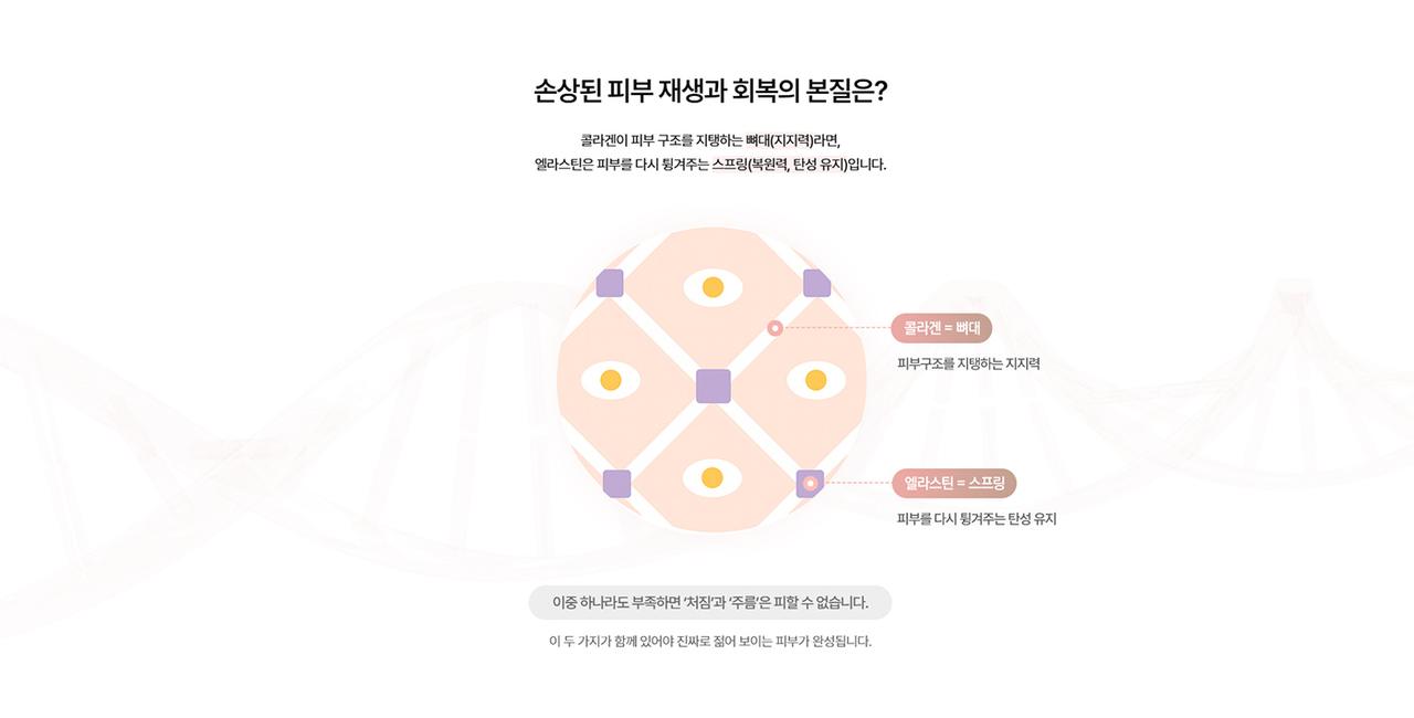 르로제의원 홈페이지 화면