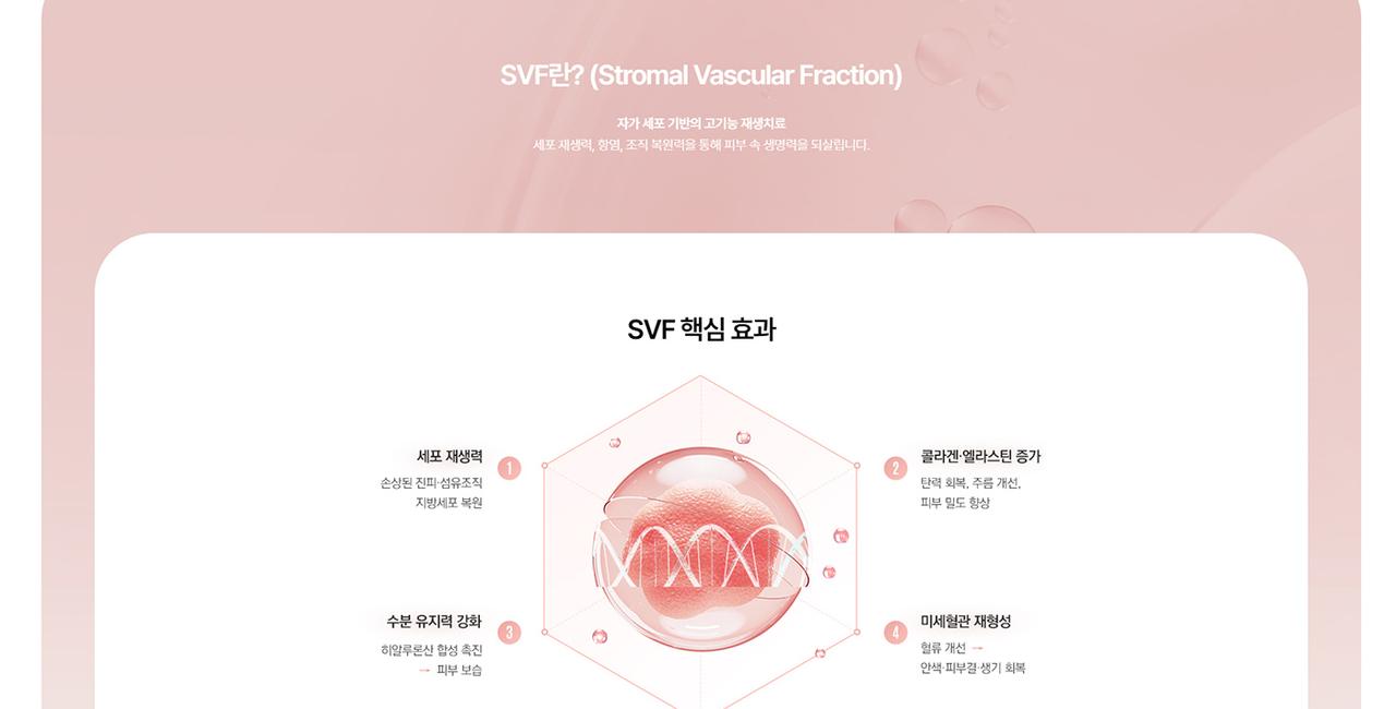 르로제의원 홈페이지 화면