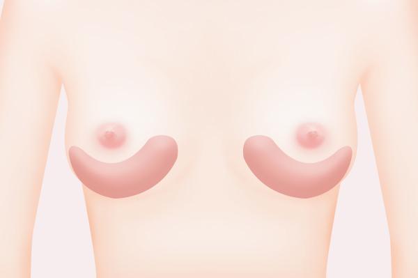 르로제의원 홈페이지 화면