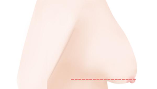 SC301성형외과 홈페이지 화면