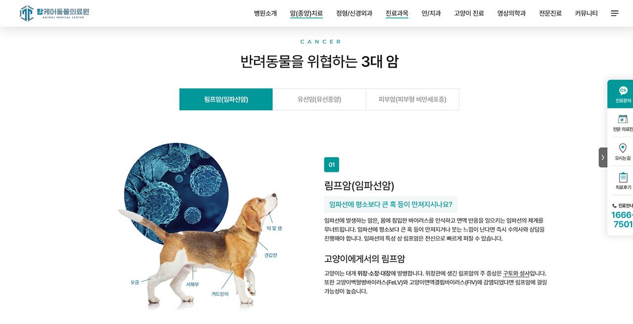탑케어동물의료원 홈페이지 화면