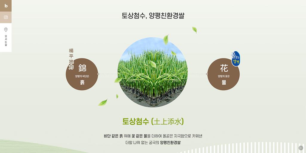 양평친환경쌀사업단 홈페이지 화면